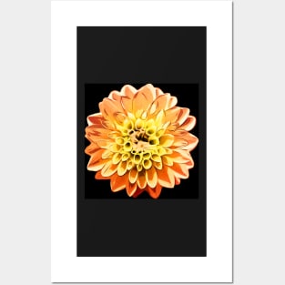 Orange and Yellow Flower | Floral Art Posters and Art